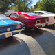 Illustration for article titled Mustang Monday (Anniversary Edition)